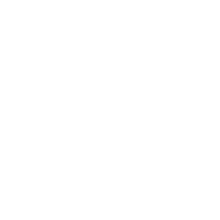 Consumer Electronics